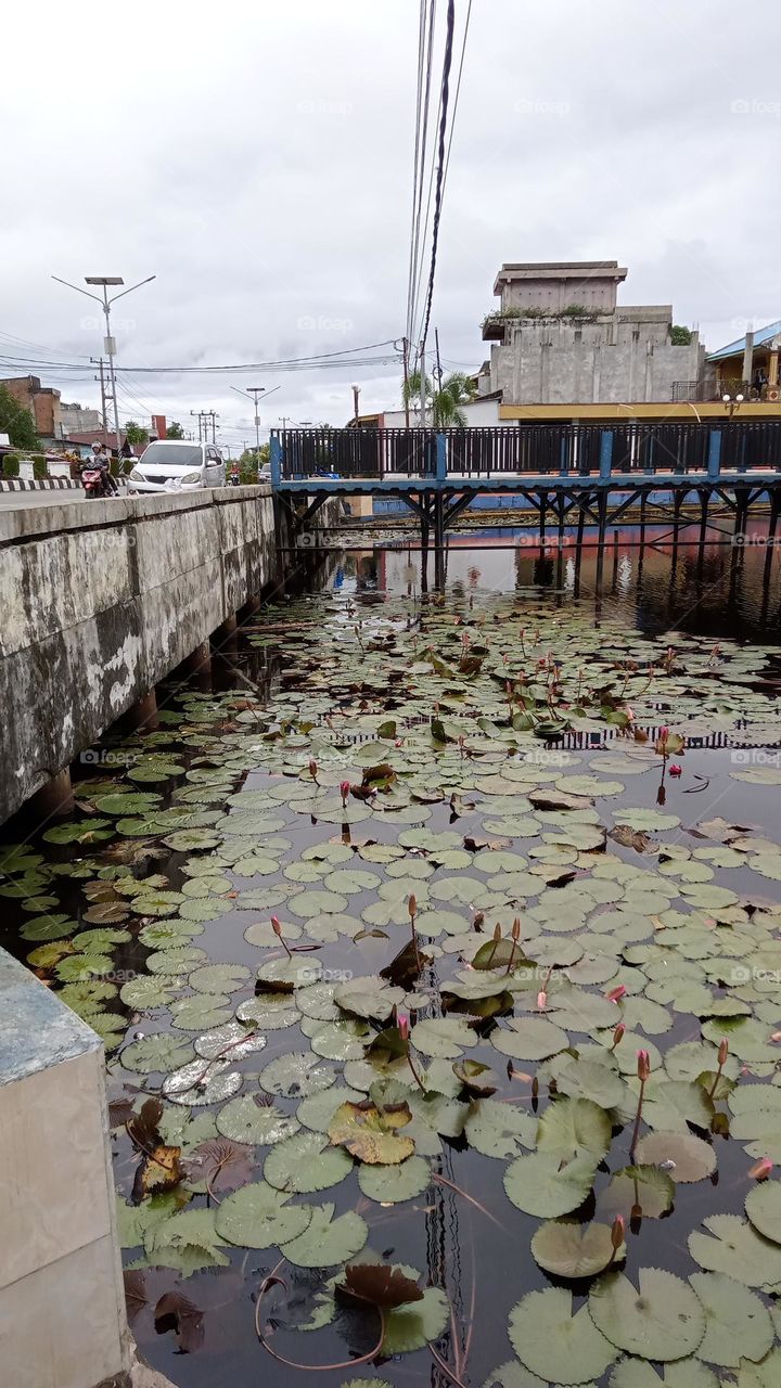 Photo or image or background about The Tourist Park of the Rukis Three Intersection in South Bengkulu District of Indonesia