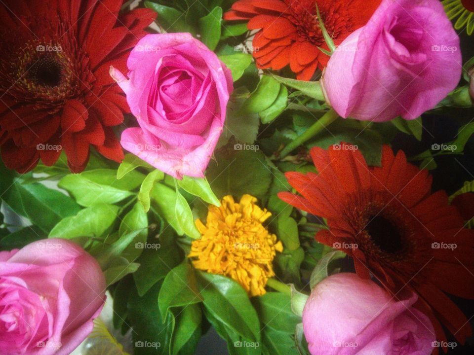 received a beautiful bouquet from my office staff...