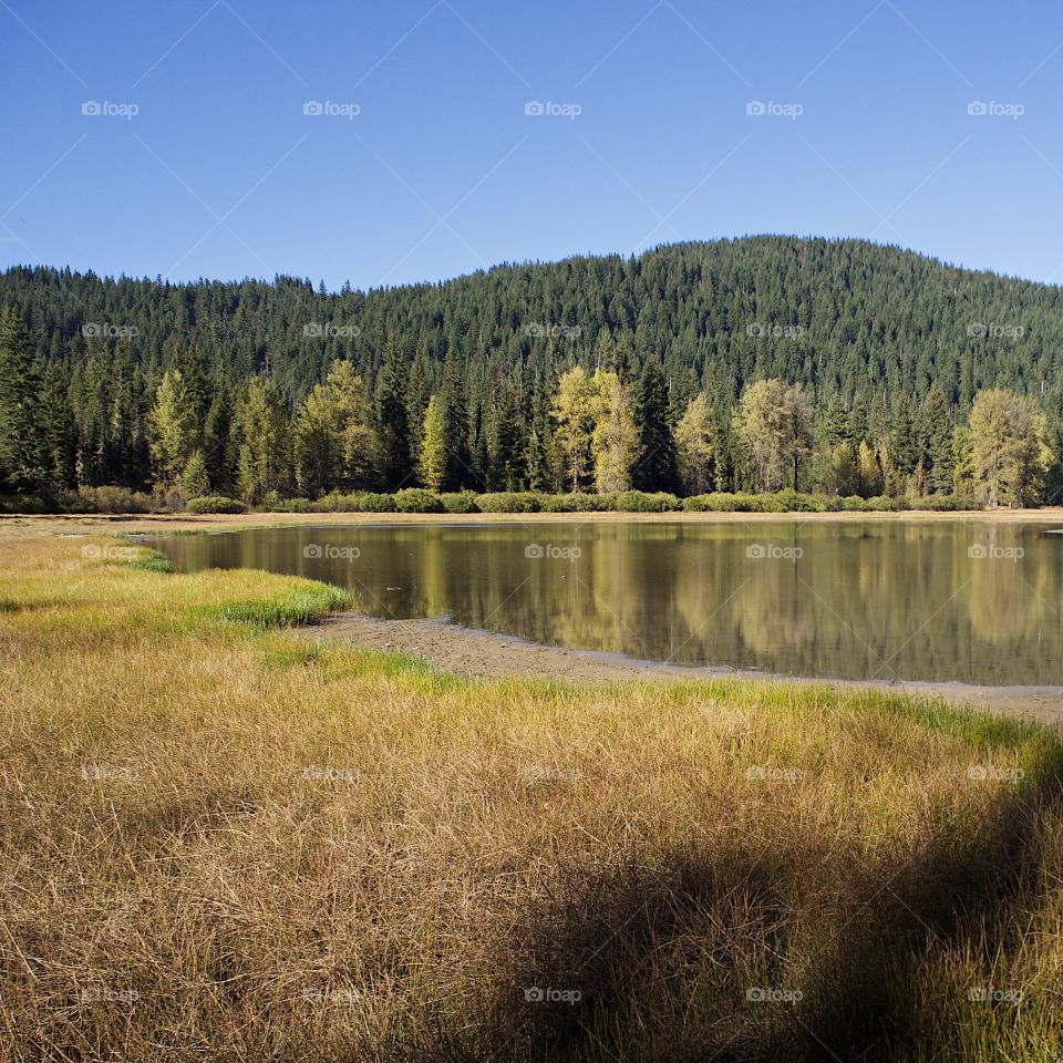 Lost Lake off of the Santiam Pass in Oregon’s mountains with multicolored trees reflecting in its waters on a beautiful sunny fall day. 