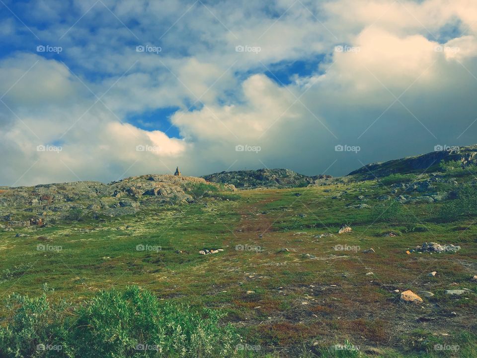 Tundra landscape 