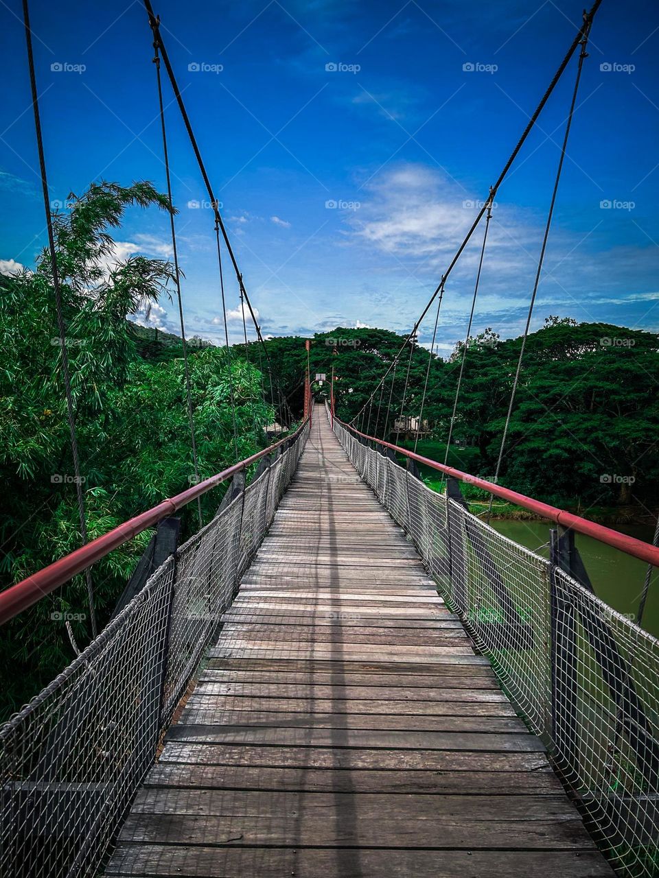 Hanging bridge 