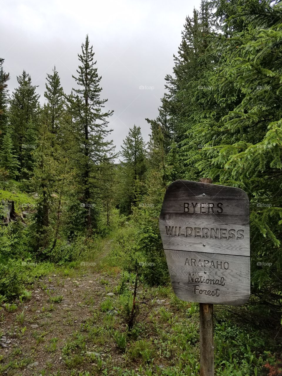 Entrance to a Byers Wilderness Trail.  Near Winter Park Colorado.