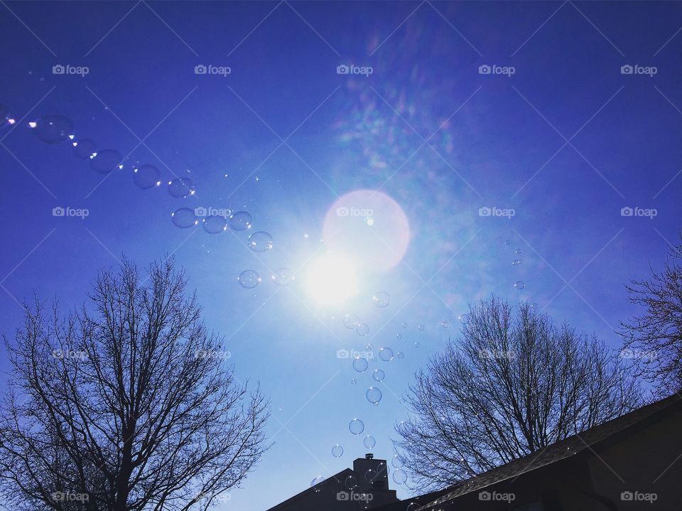 Sunlit bubbles