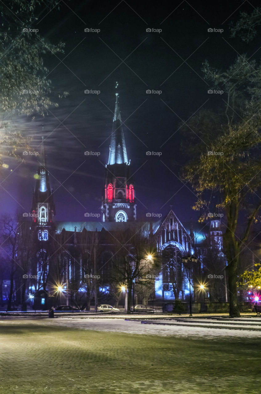 St. Olga and Elizabeth cathedral in Lviv city