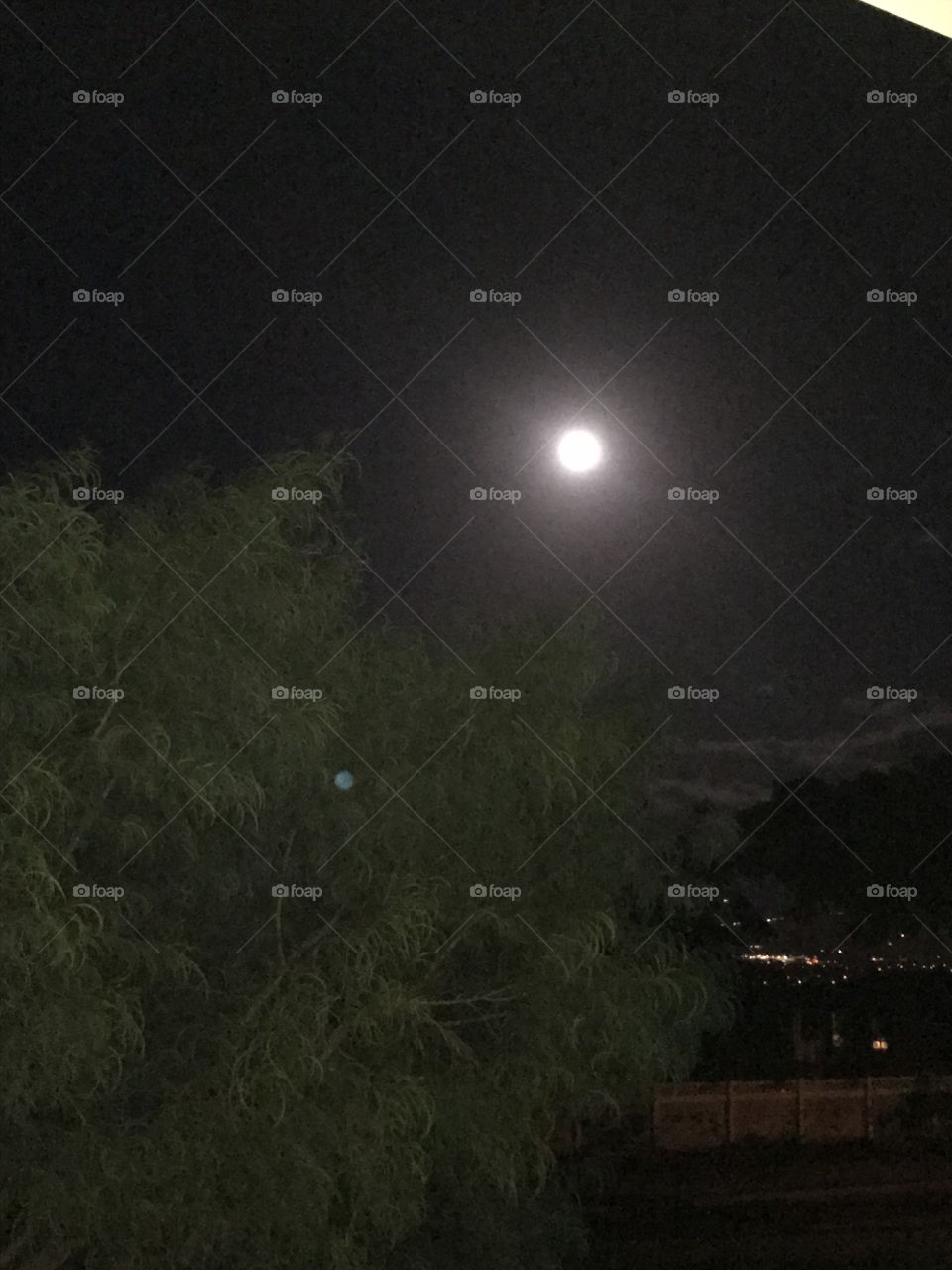 Maui Midnight Full Moon
