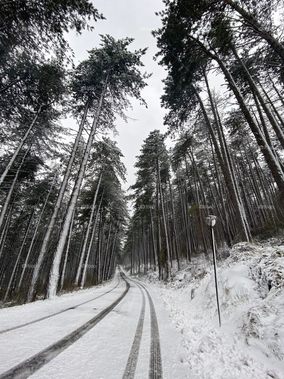 This is CUCCARO❄️