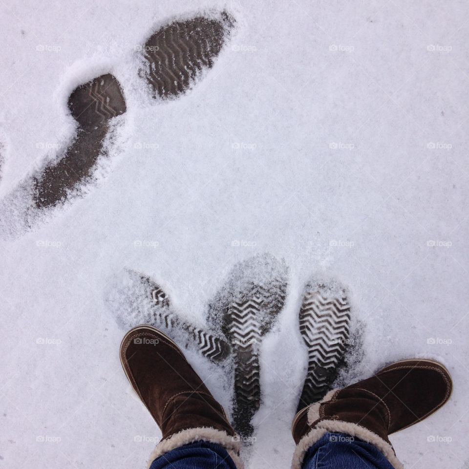 Footprint, very common in winter