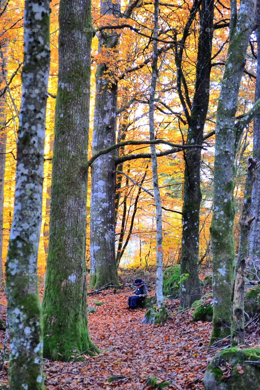 Distant view of a boy sitting in forest during autumn