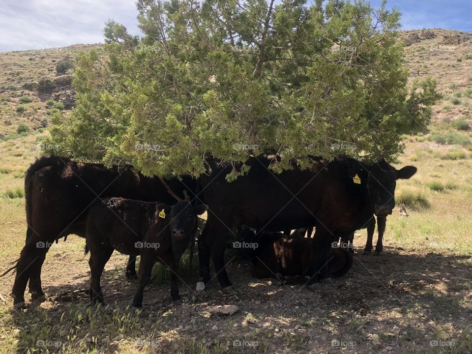 Baby it’s too hot outside