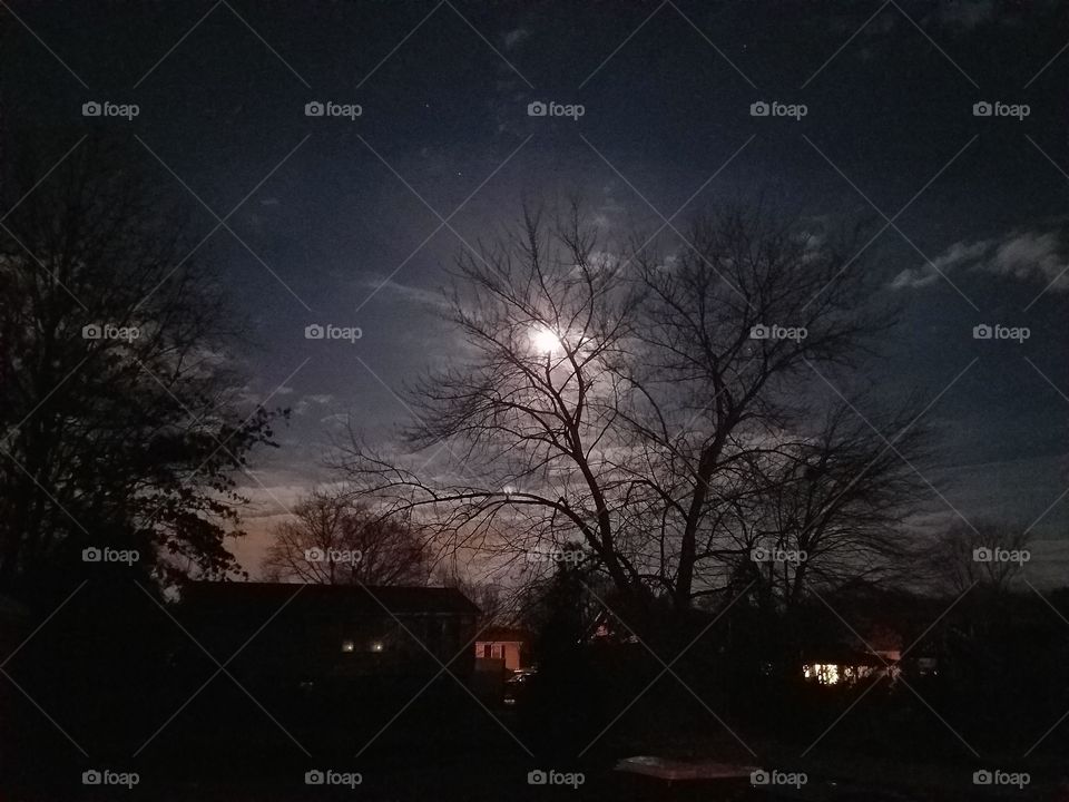 Night shot of the moon