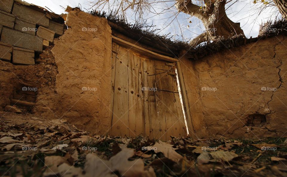 Wooden door 