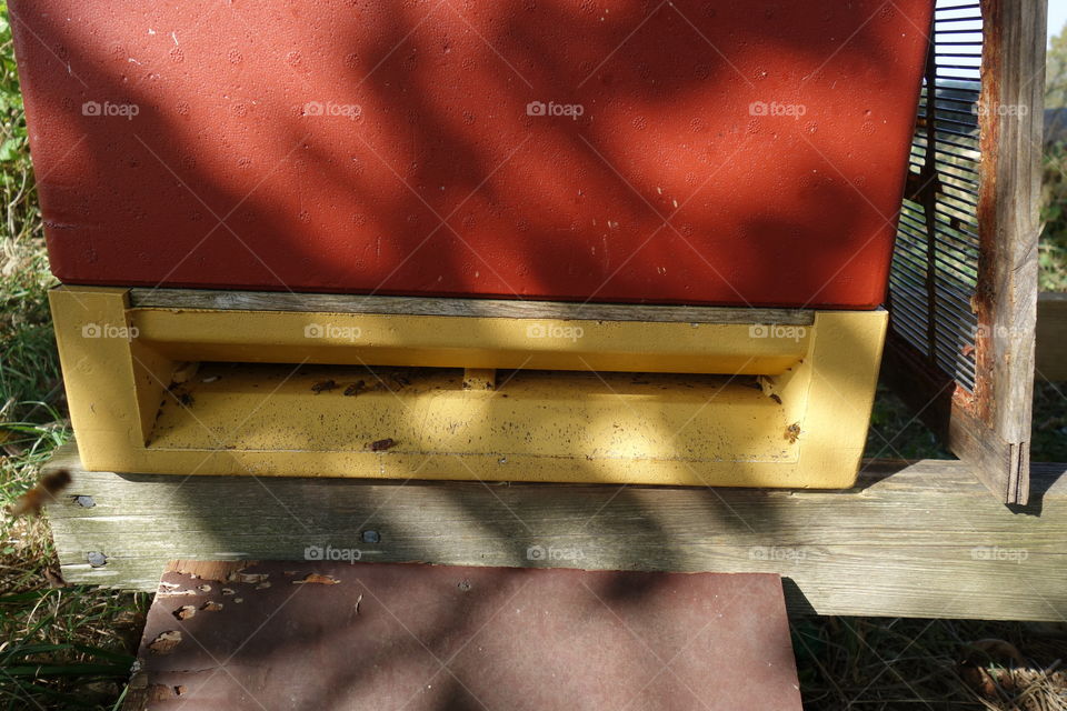 These lovely beehives can be found in a small place called Vargön ( Wolfisland). The need were very active but I managed to get some photos without getting stung.