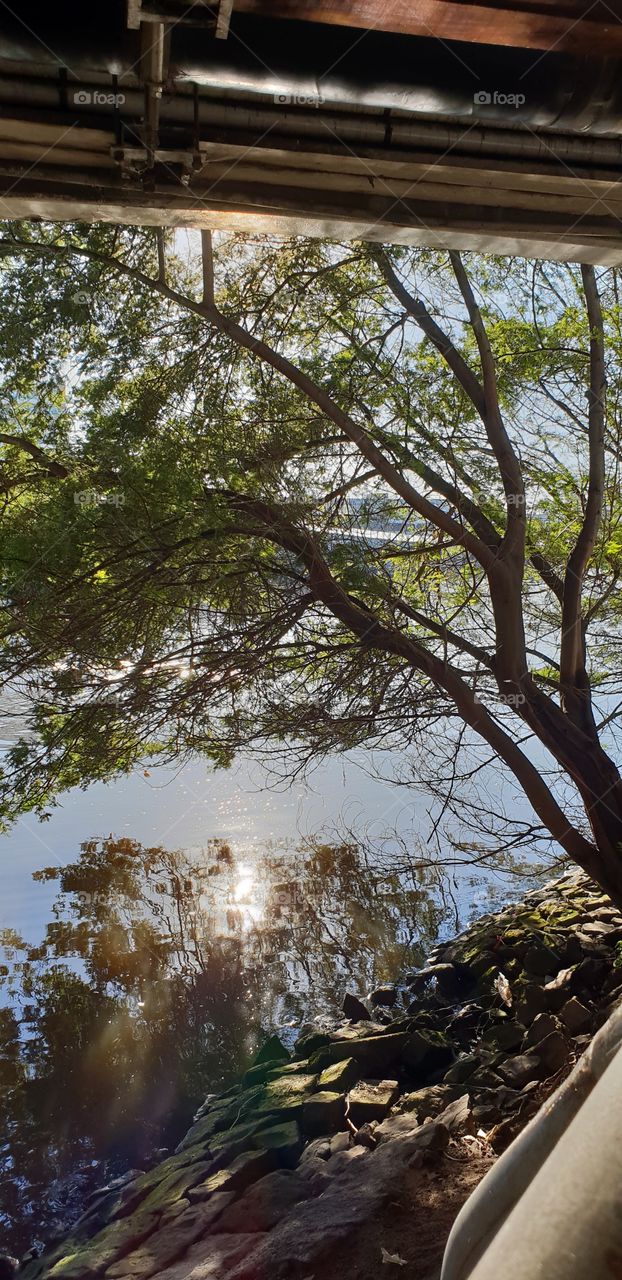 Reflections on the Yarra