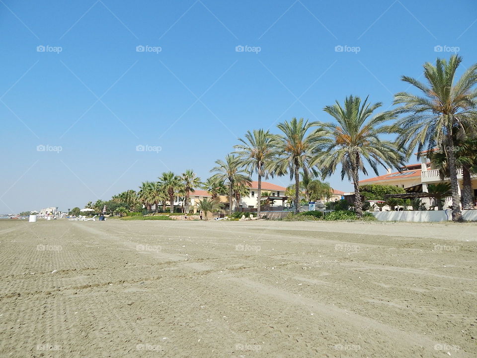 Travel in Larnaca Cyprus