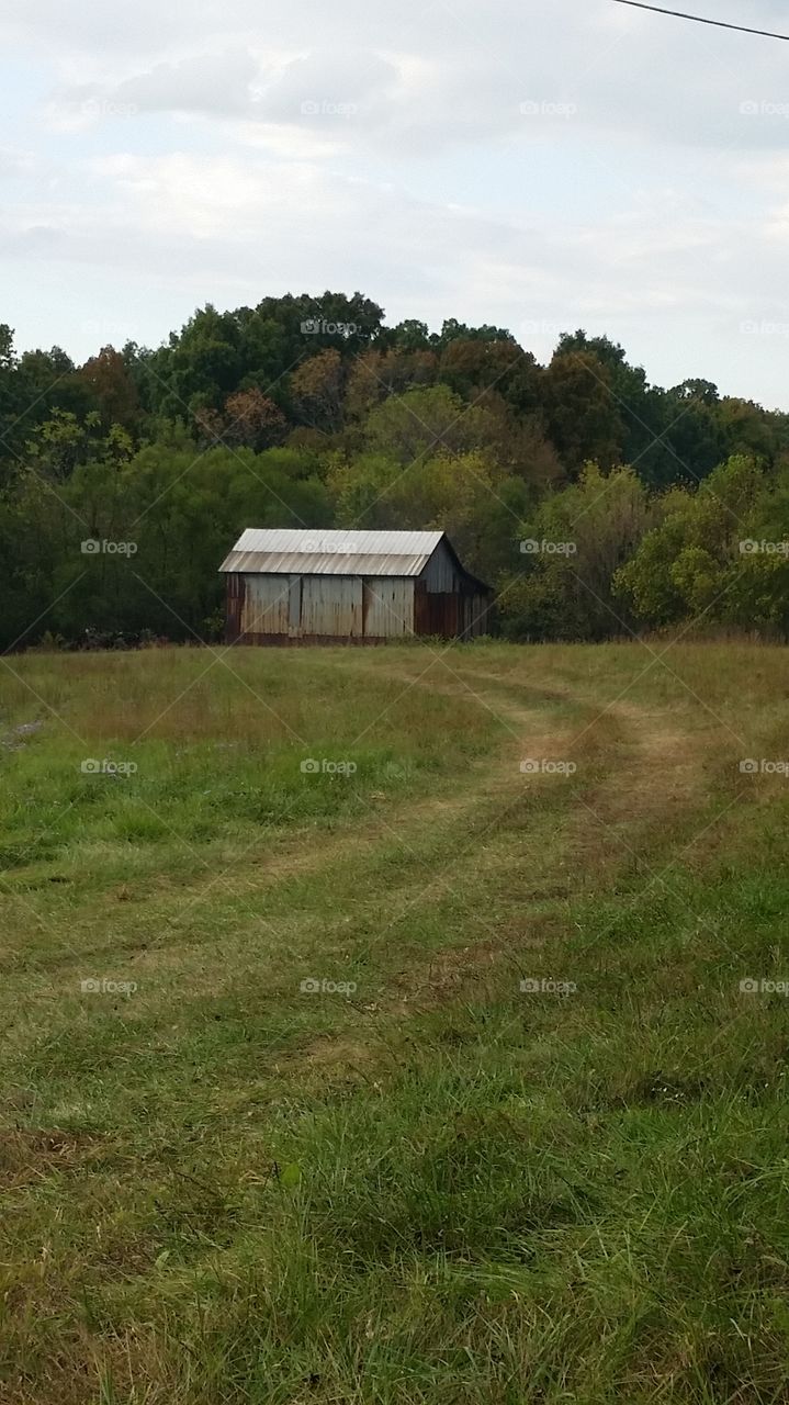 Rustic Tennessee
