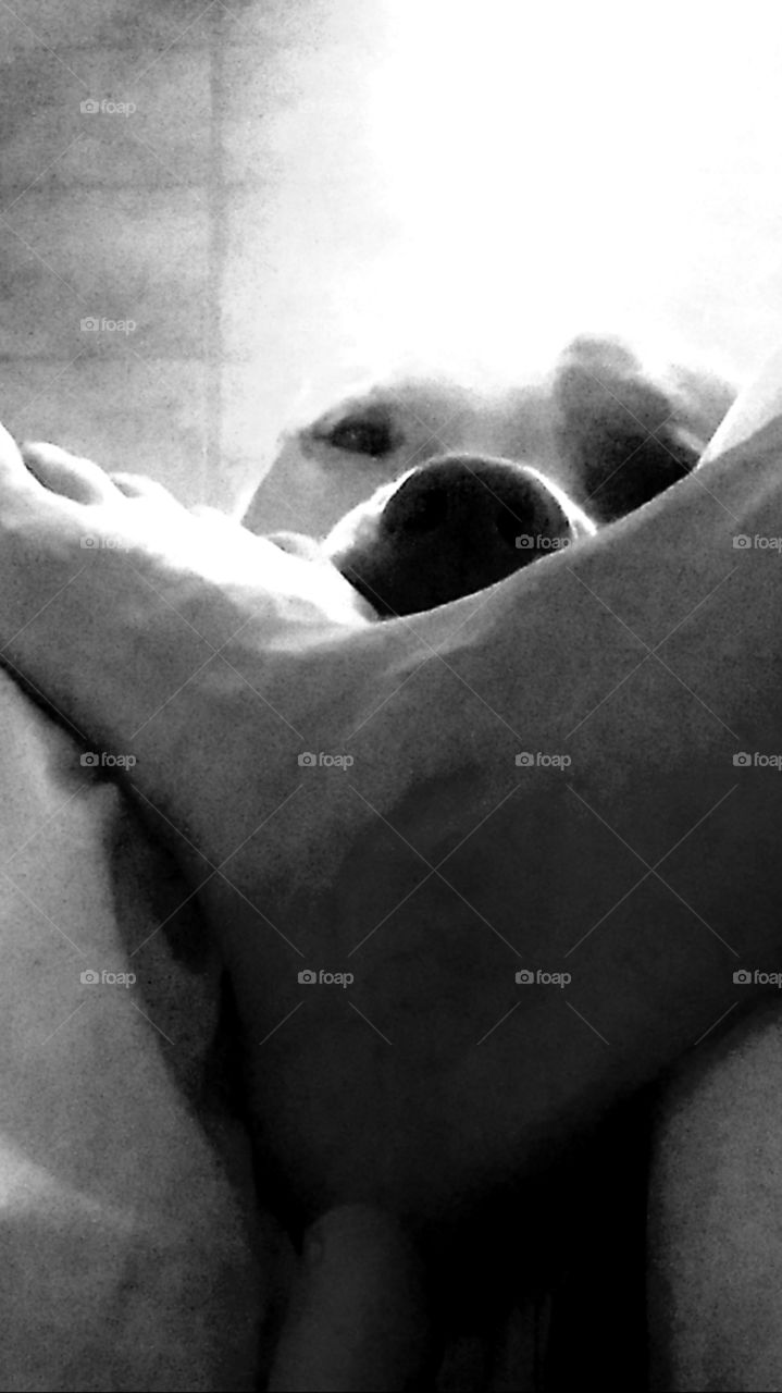 my dog she is our world all she sees is love💖