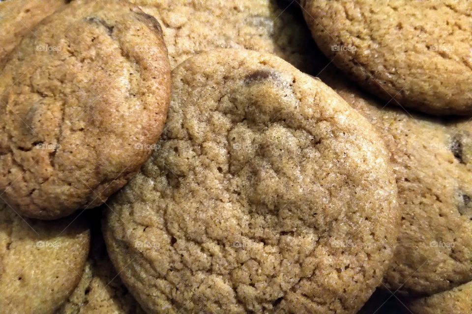 freshly baked chocolate chip cookies