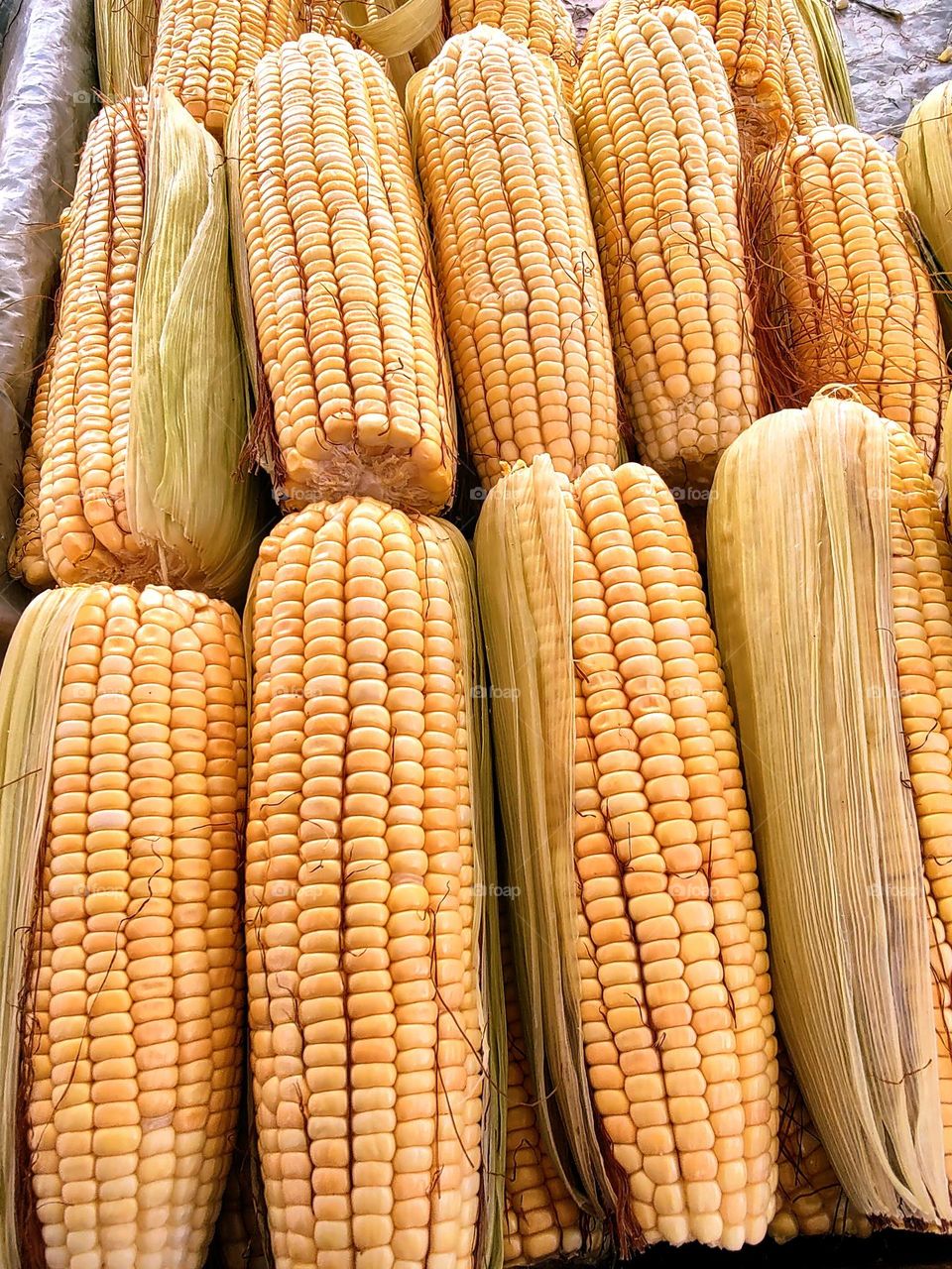 Green corn cobs are sold a lot in markets.  They are used a lot in cakes, mines, juices and several other recipes.  It is also widely eaten cooked.