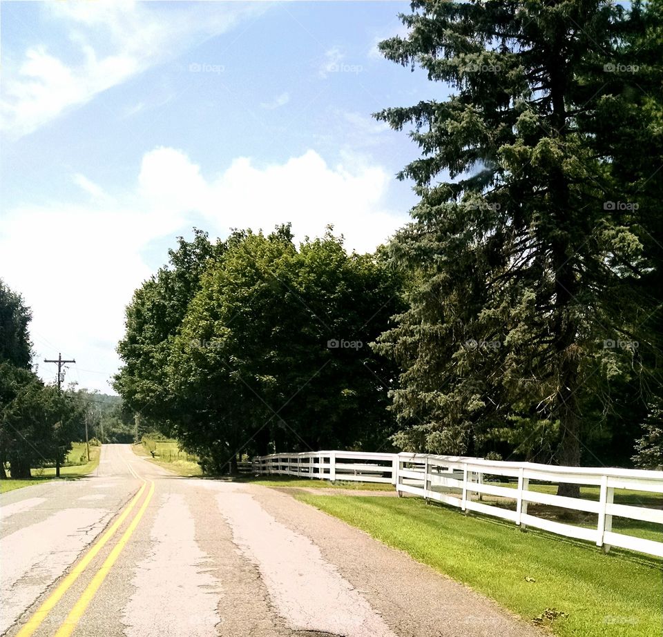 Country Road. I took this pic driving through the country roads in Northern New Jersey on July 18,2015