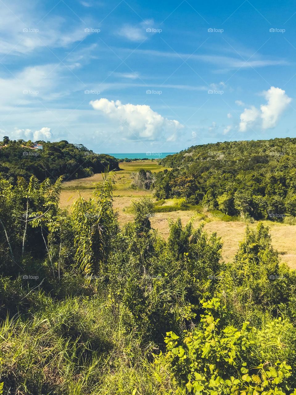 É essa paisagem que amamos!