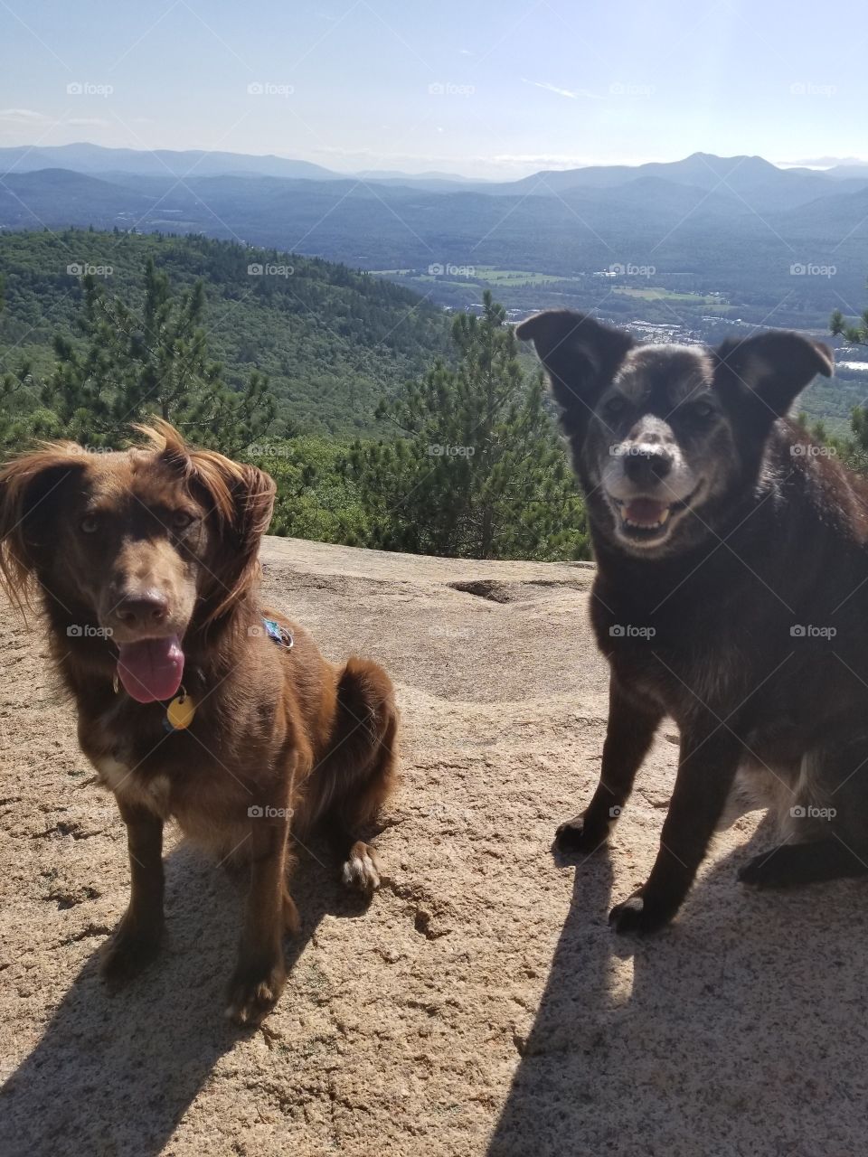 hiking friends