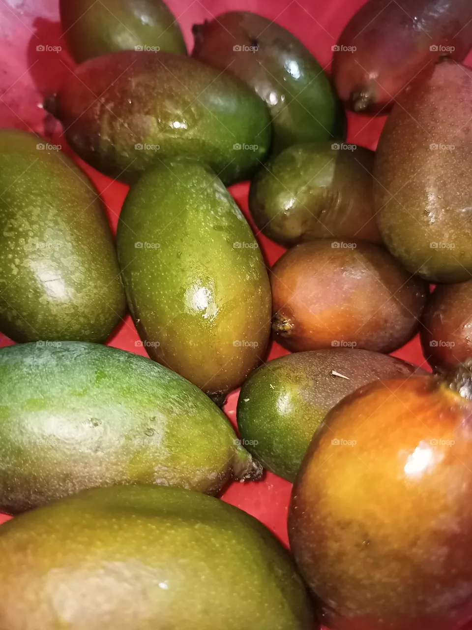 mangoes