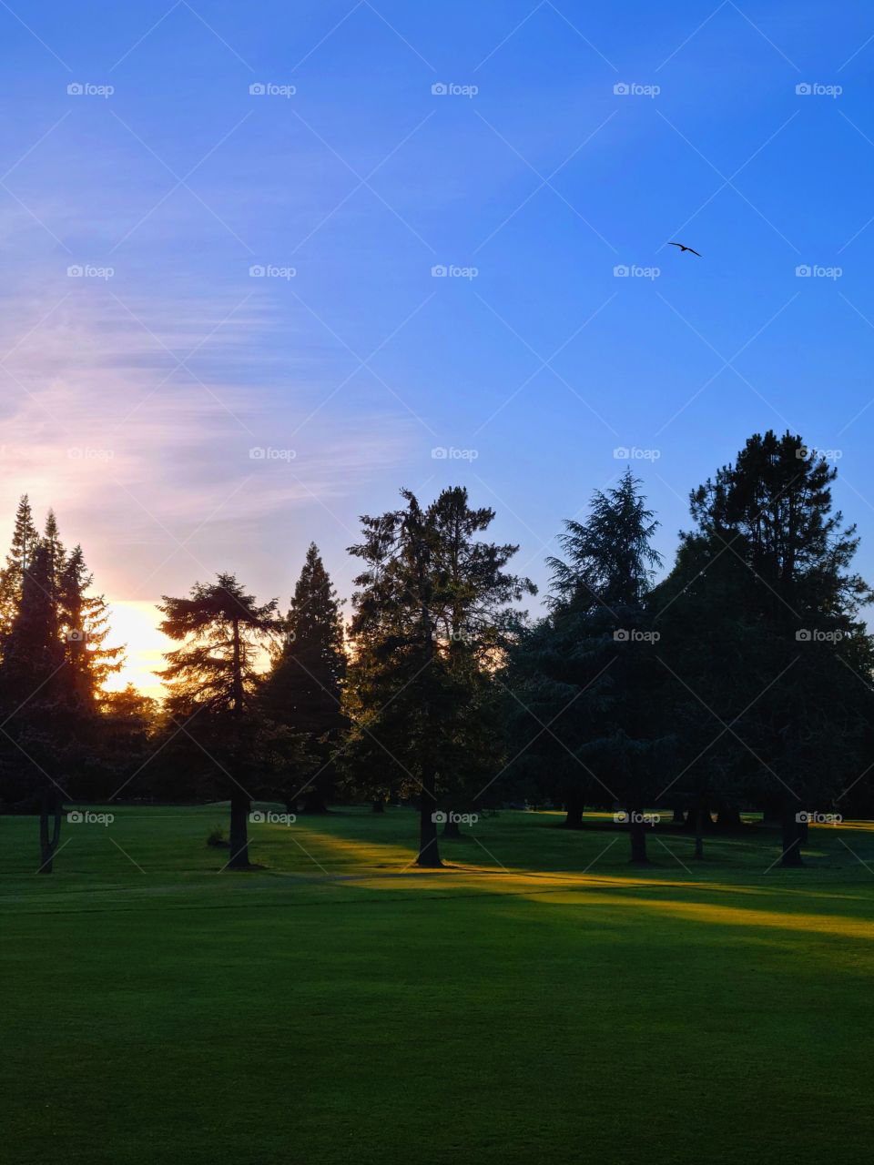 sunset at the Golf Course