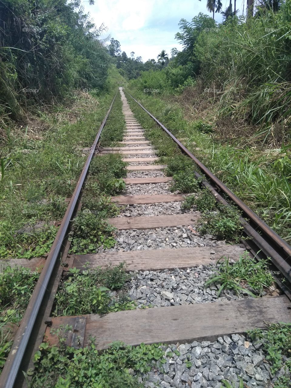 Railway Track Long View