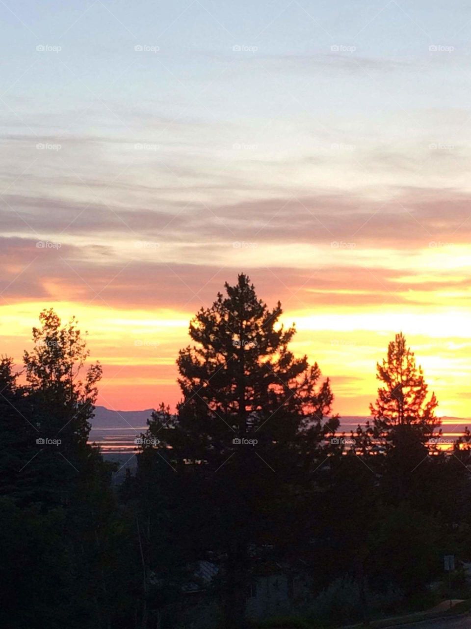 sunset with trees in silhouette