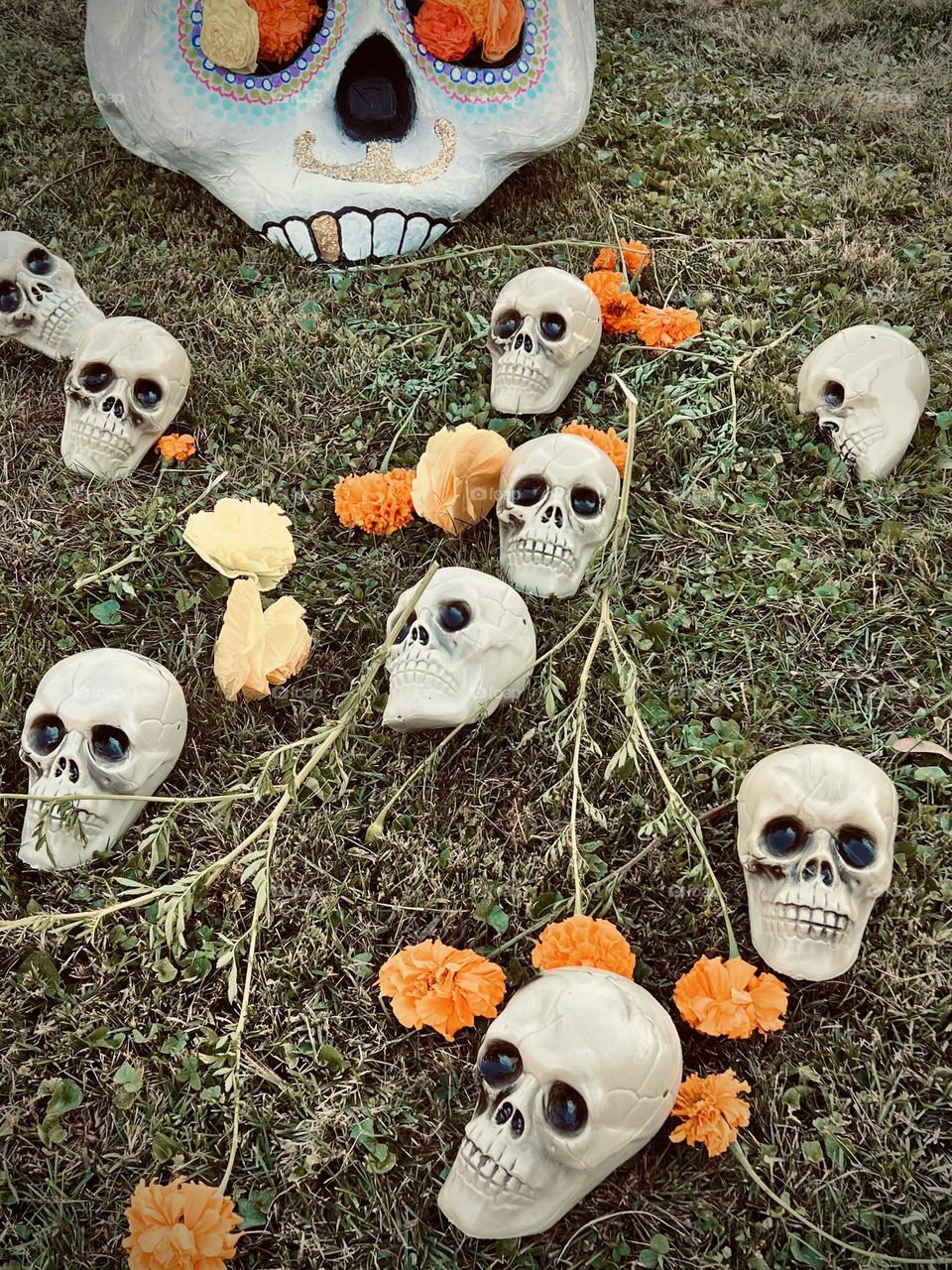 A vibrant decoration at a celebration to educate about the Day of the Dead