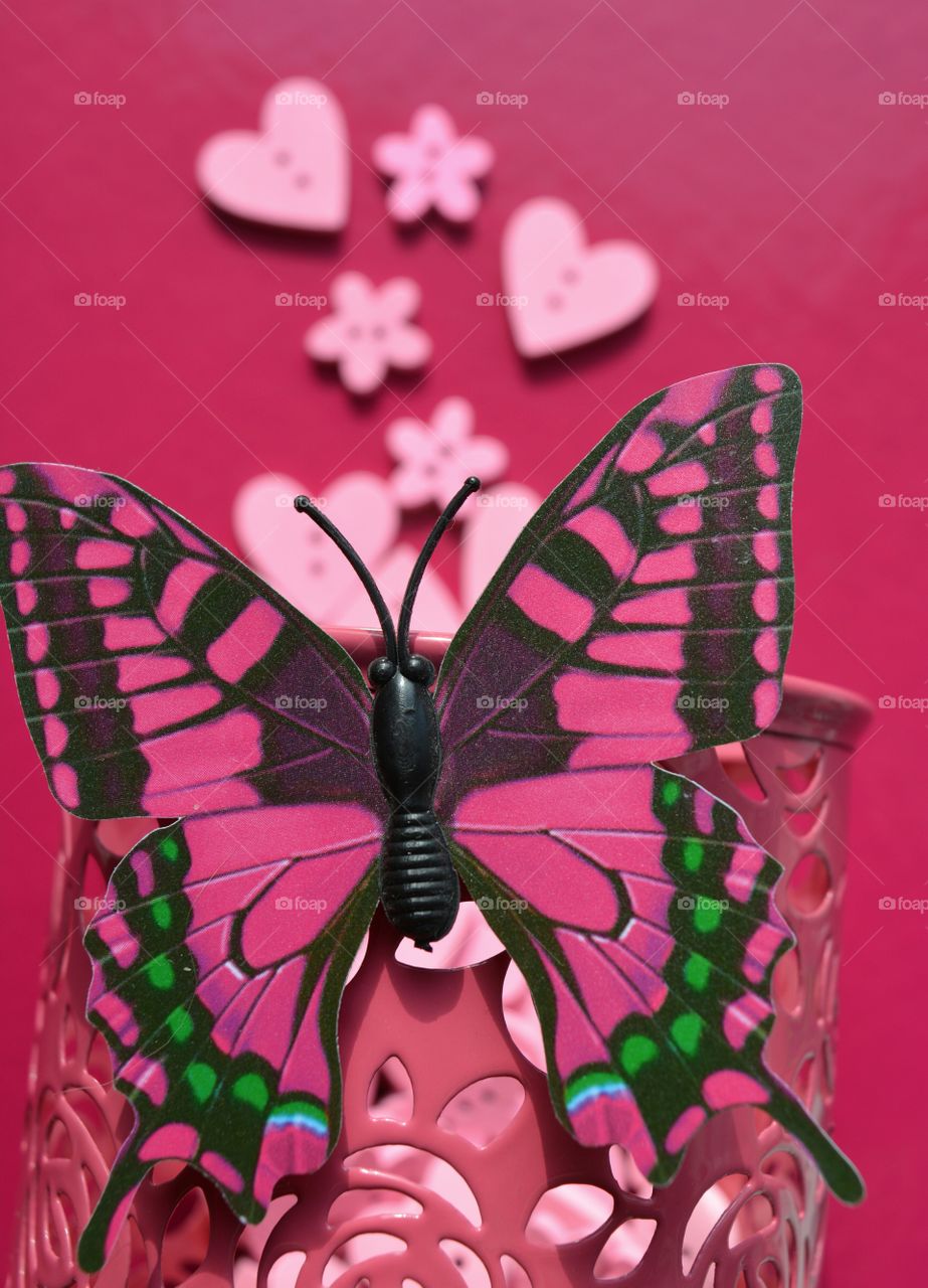 Butterfly, Insect, Decoration, Desktop, Illustration