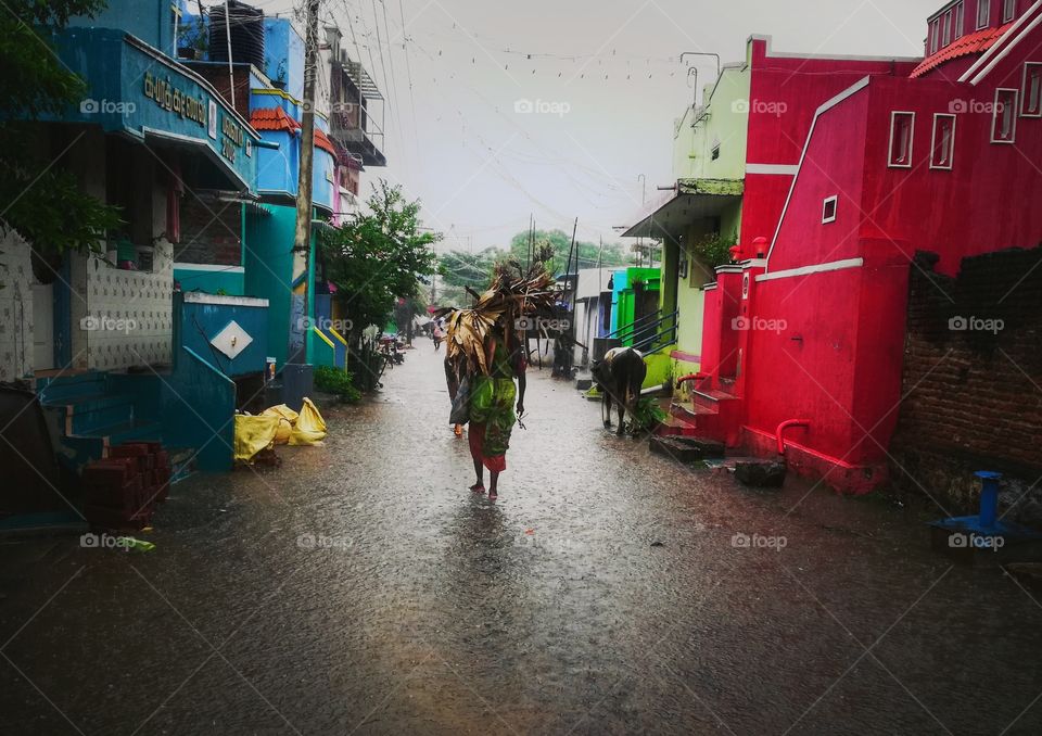 this is rural area pictures very casual picture taken at rainy day