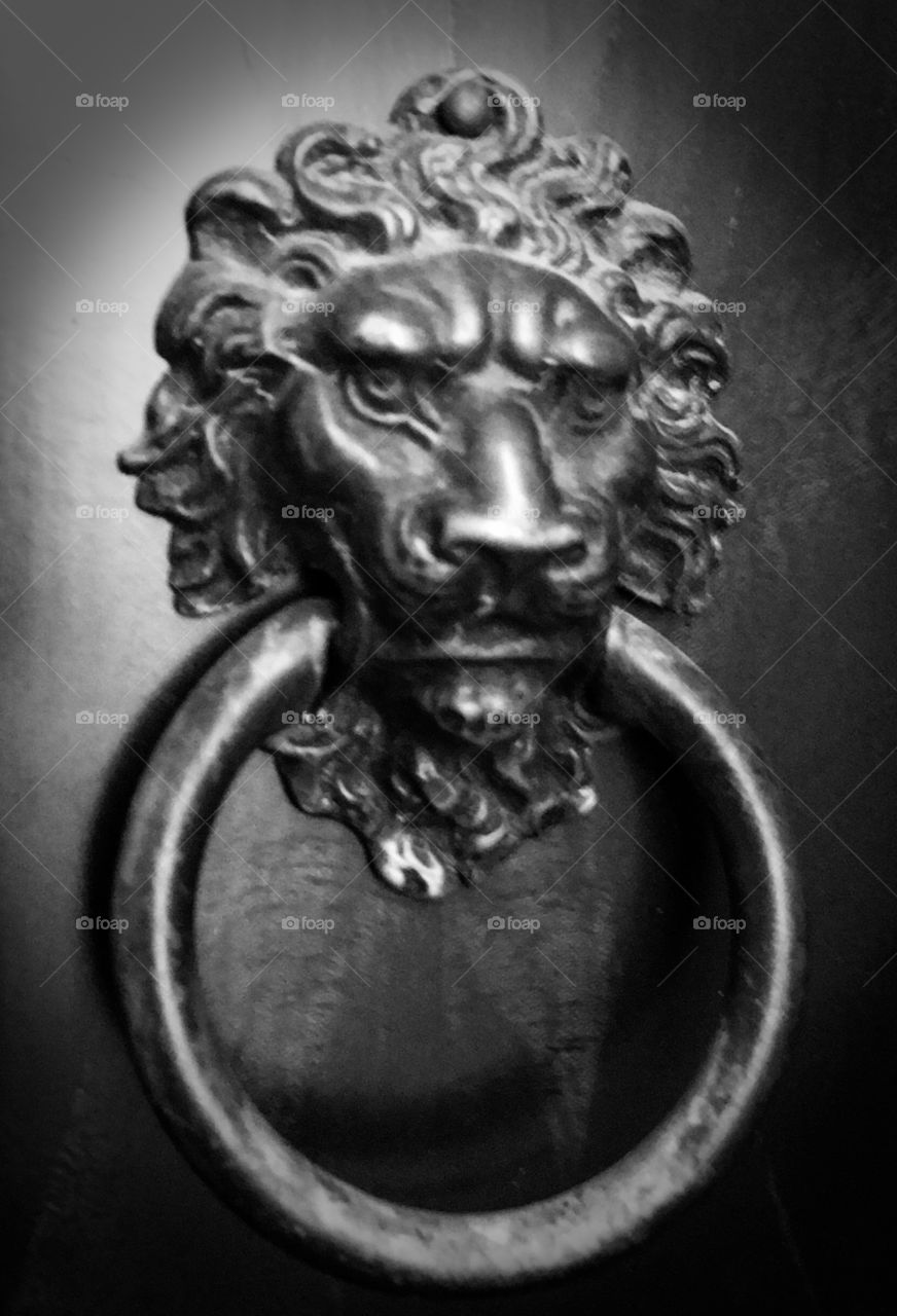 Lion's Head, cast iron, drawer pull, medieval gothic background image