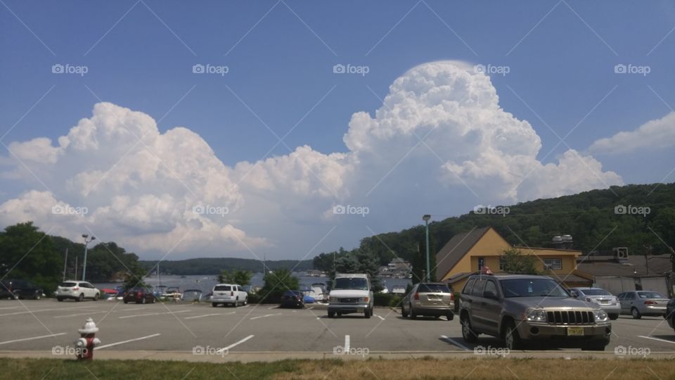 Road, Vehicle, Landscape, Car, Daylight