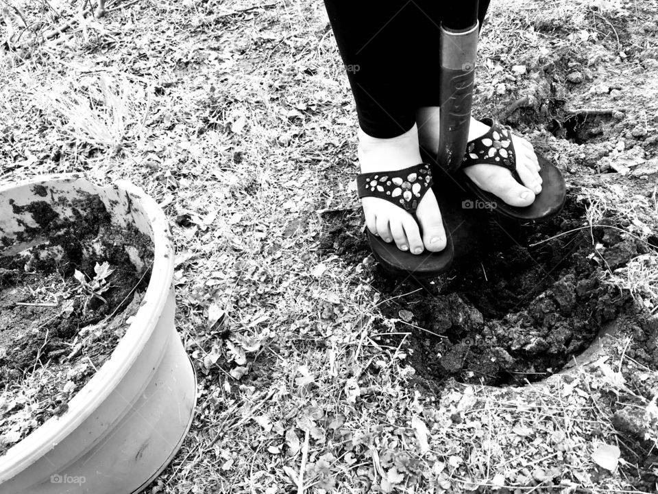 Fun planting new spring plants we just bought now that it’s warmer outside for them! 