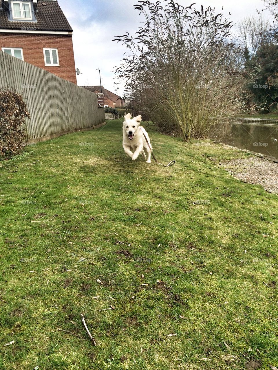 Zoe having fun at the canal