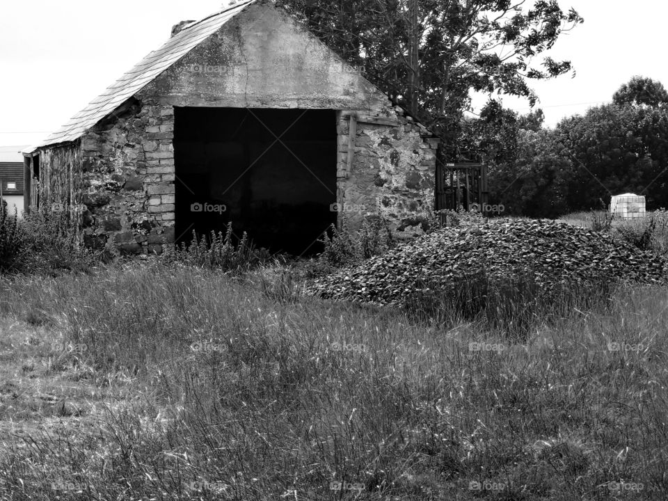Abandoned  barn