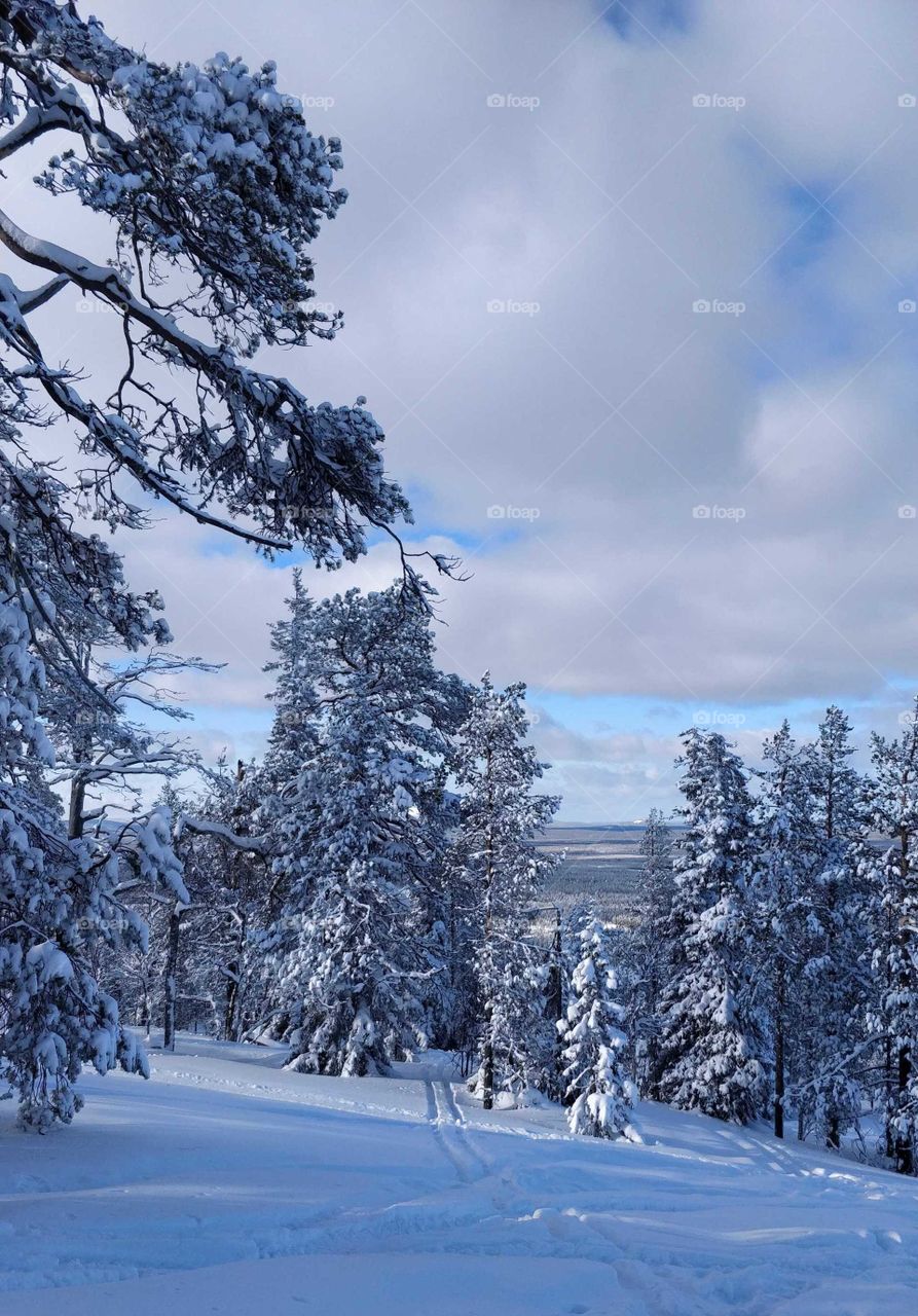 Winter in the Finnish Lapland