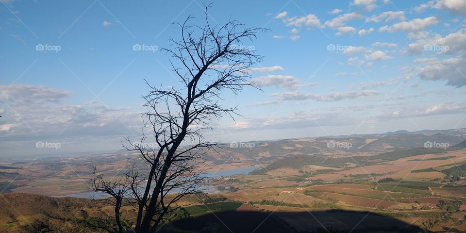 céu, árvore,sombra, montanha,água,mar