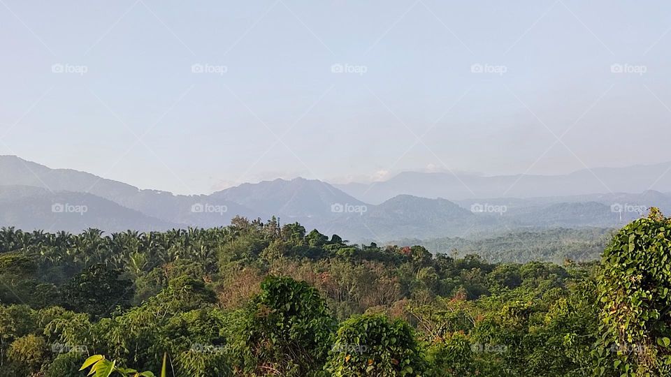 A mountain shrouded in fog