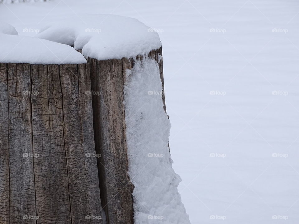 Snow Stump