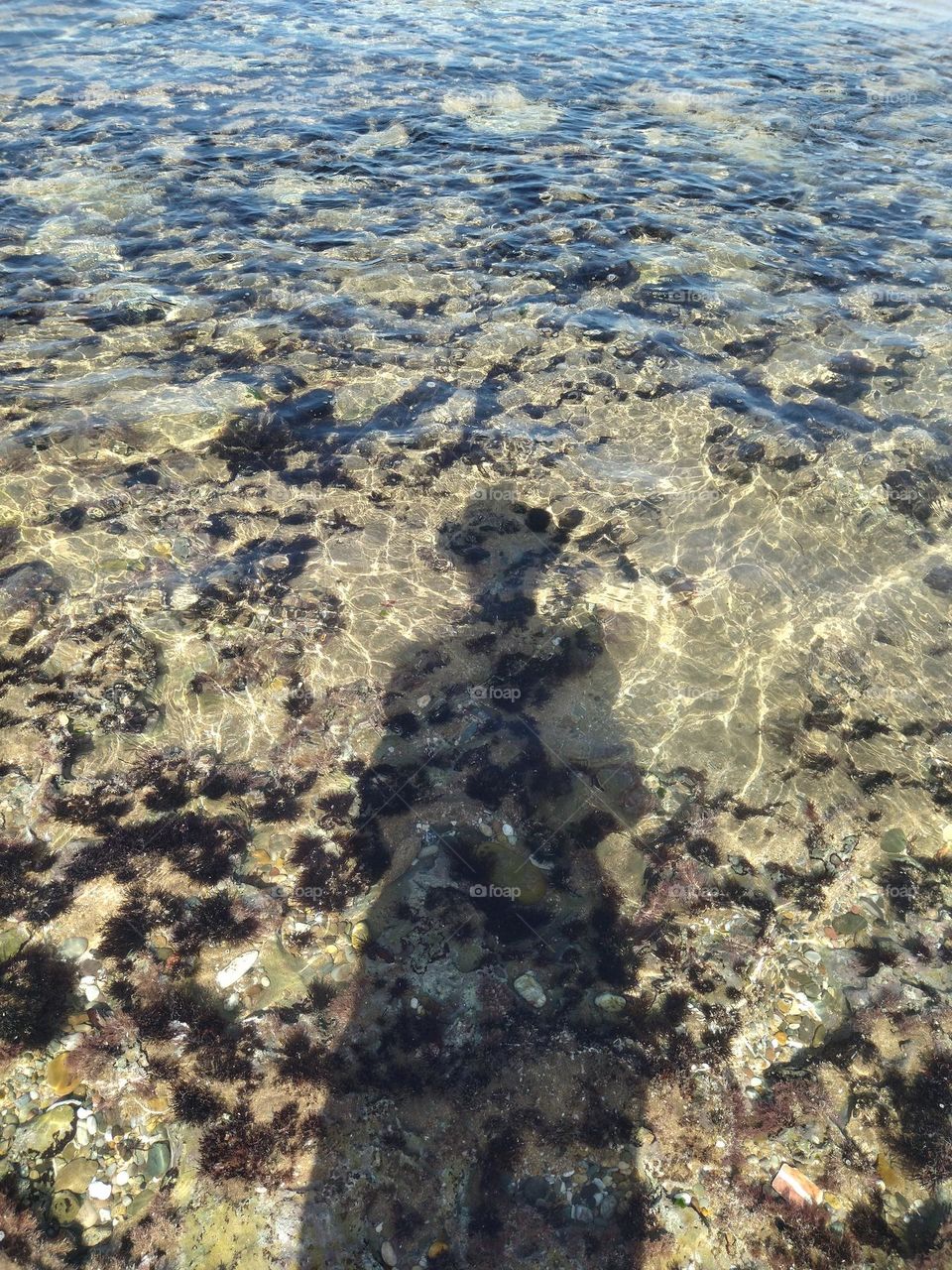 Shadow in the water of sea