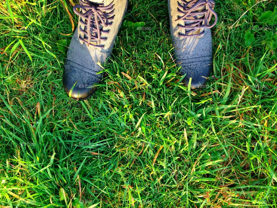 Standing on a meadow 