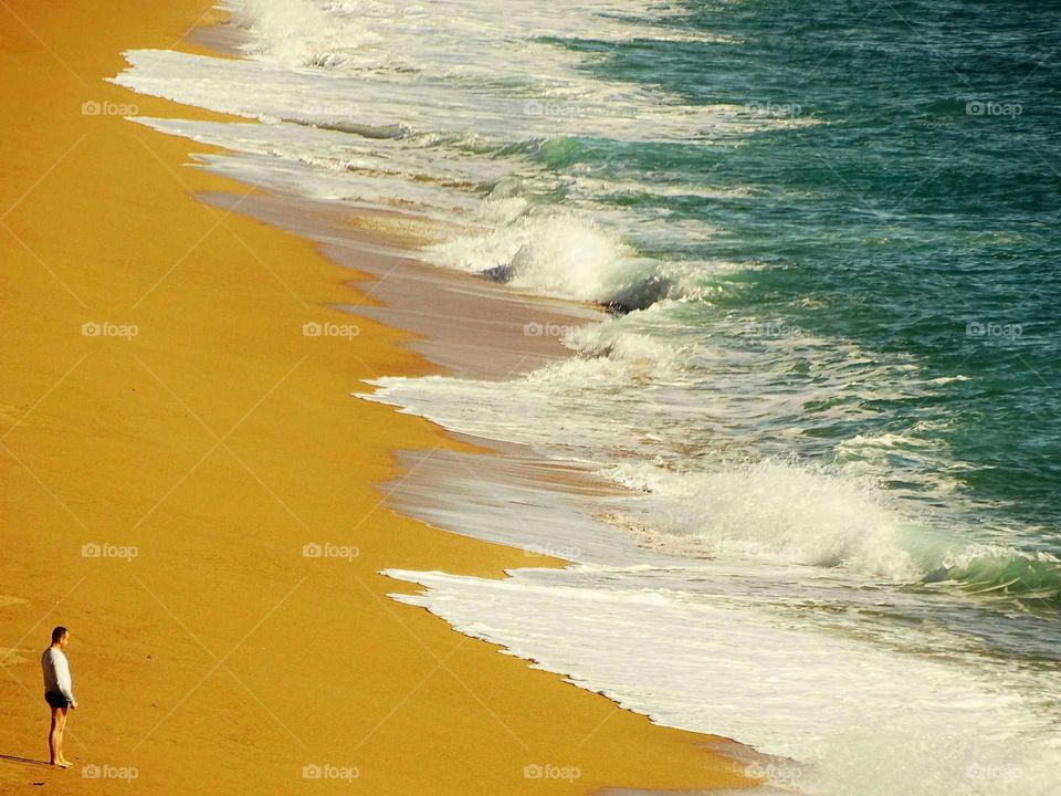 The beauty of the beach