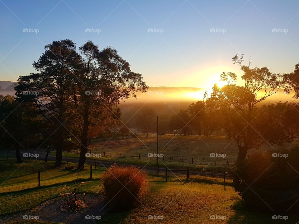 Scenic view of landscape at sunrise
