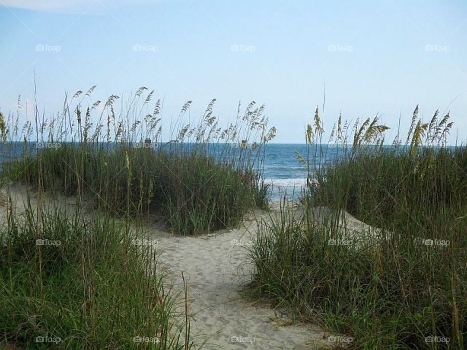 sand dunes to the ocean