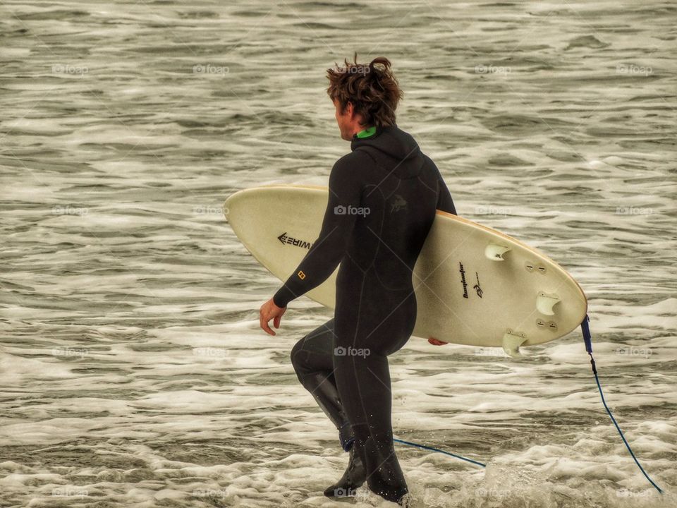 Surfer Entering The Waves. Surfer In A Wetsuit