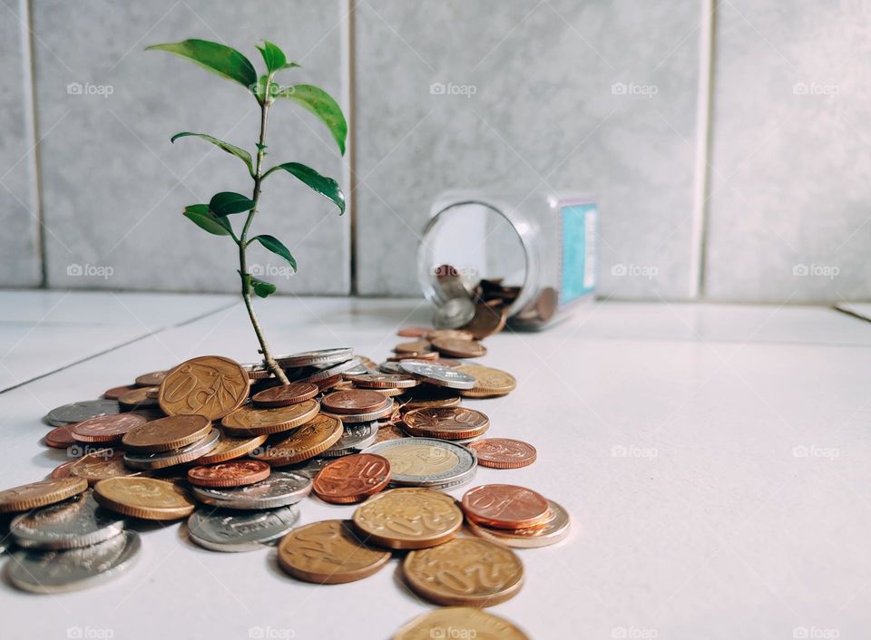 Plant growing in pile of coins