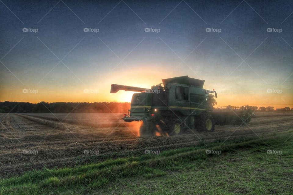 Harvesting at Sunset. A combine harvester works late into the evening sat the setting sun lights the scene.