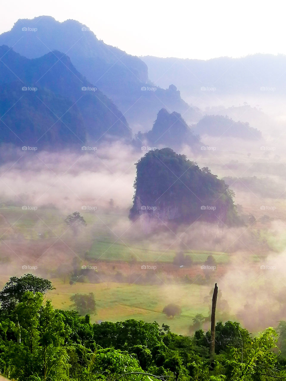 Elephant Moutian Thailand
